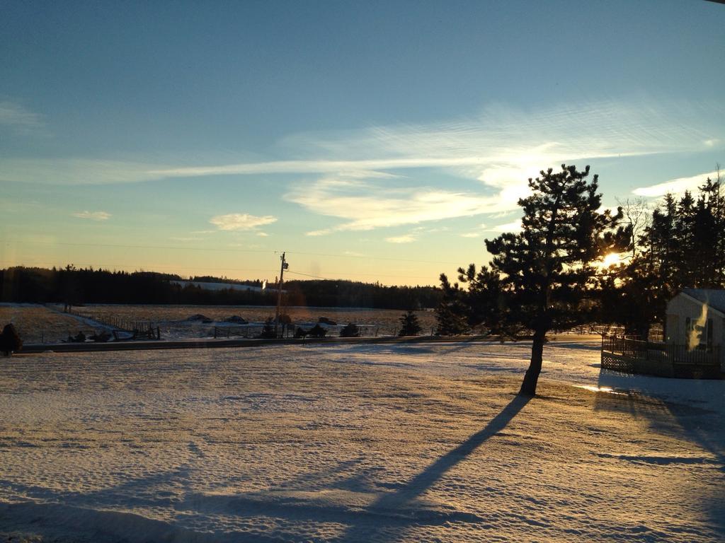 Meadowview *